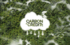 Explained: Carbon credits