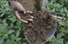 Farm fields don’t just feed us. They store carbon. But a big question is how much?