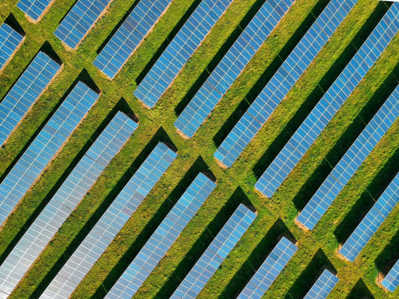 Solar farm